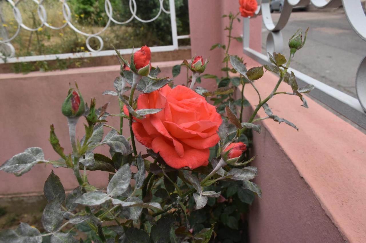 Sa Mariposa Bed and Breakfast Muravera Eksteriør billede